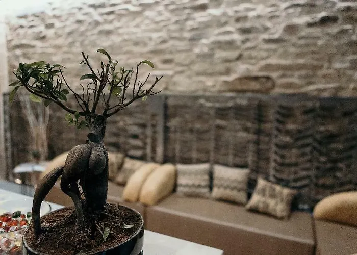 Via Aetcal & Wellness 2*